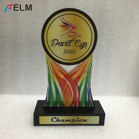 Acrylic trophy_Champions League Trophy_acrylic award